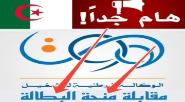 جميع تفاصيل مقابلة منحة البطالة في الجزائر و الحالات التي تمنع الاستفادة 2024