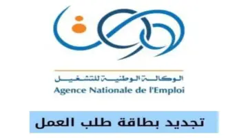تجديد بطاقة العمل أون لاين wassit.anem للاستفادة من منحة البطالة في الجزائر 2024