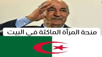 منحة المرأة الماكثة في البيت 2024 طريقة التسجيل الشروط والوثائق المطلوبة