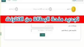 ما هى خطوات تجديد منحة البطالة بالجزائر 2024 عبر الوكالة الوطنية للتشغيل ؟
