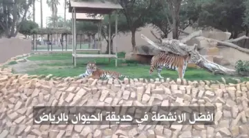 "هنا" رابط مباشر لحجز تذاكر حديقة حيوانات الرياض في حي الملز بالأسعار
