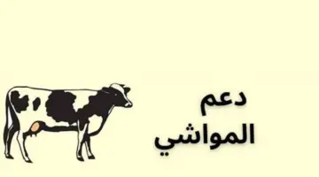 ما هي خطوات الاستعلام عن دعم المواشي النفاذ الوطني 2024؟