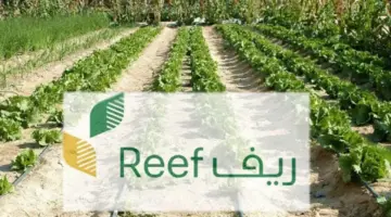 "وزارة الزراعة" تعلن عن خطوات خدمة استعلام عن دعم ريف 1445