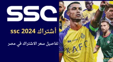 ما هو سعر اشتراك ssc في مصر الجديد والباقة الأنسب 2024؟