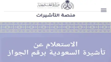 "هام" وزارة الخارجية تتيح رابط تأشيرة السعودية برقم الجواز 1445