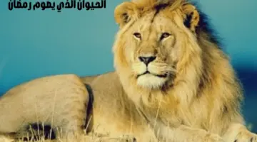 حقيقة أم خرافة.. ما هو الحيوان الذي يصوم رمضان مثل الإنسان؟