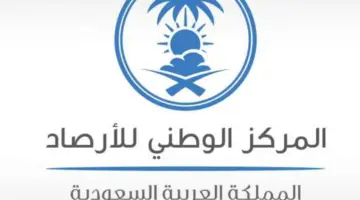 المركز الوطني للأرصاد: صواعق رعدية وأمطار على هذه المناطق فهل يتم تعليق الدراسة غدا؟