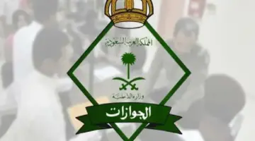 أسباب دراسة المملكة لإلغاء قرار المقابل المالي للمرافقين 2024