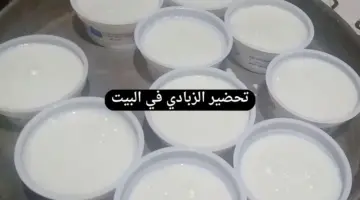"بخطوات سهلة وبسيطة" .. طريقة تحضير الزبادي السادة والفواكه في البيت