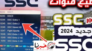 تردد قنوات SSC الرياضية واهم البطولات التي تنقلها 2024