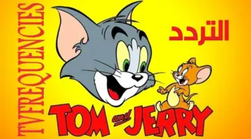 أفضل المسلسلات والأفلام الكرتونية طوال اليوم عبر تردد قناة توم وجيري الجديد 2024