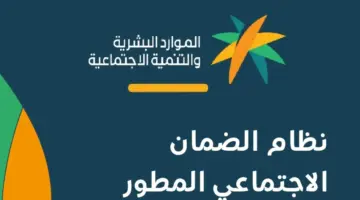 هل يحصل مستفيدي الضمان على تعويض مالي لكفاءة الطاقة للمركبات؟