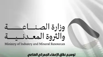 اعتبارًا من 1 إبريل.. توسيع نطاق الإعفاء الجمركي الصناعي من دفع الرسوم