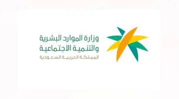 "الموارد البشرية" أعلنت عن حالة احتساب تعويض كفاءة الطاقة للمركبات لمستفيدي الضمان
