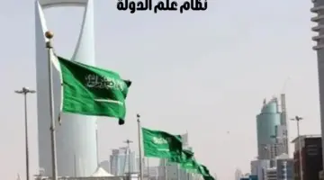 "وزارة الداخلية" تطلق نظام علم الدولة وشعارها ونشيدها الوطني عبر منصة استطلاع