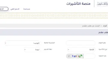 ما هي خطوات الاستعلام عن تأشيرة زيارة برقم الجواز أو برقم الطلب عبر منصة إنجاز؟