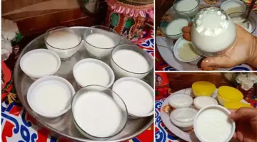 بأبسط الخطوات.. طريقة عمل الزبادي في البيت في 5 خطوات