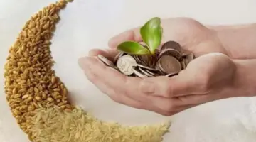 ما هي طريقة حساب زكاة الفطر في شهر رمضان 1445/2024؟ "الإفتاء" توضح