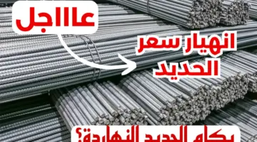 تراجع أسعار الحديد في مصر تثير ضجة في الأسواق "ينخفض 1000 جنيه"