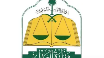 وفقًا إلى قرار مجلس الوزراء.. بدأ تنظيم إيقاف الخدمات وفق آلية محددة على 3 مراحل