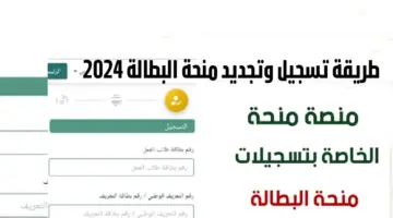 الوكالة الوطنية تحدد ما هي خطوات تجديد منحة البطالة كل 6 أشهر؟