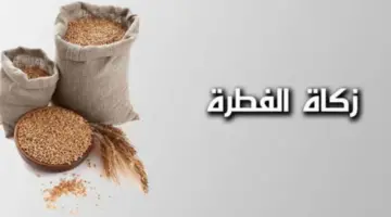 "دار الإفتاء المصرية".. تُوضح على من لا تجب زكاة الفطر من المسلمين 