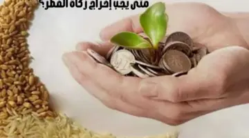 متى يجب إخراج "زكاة الفطر" وما هي أهميتها وكيف يتم إخراجها؟