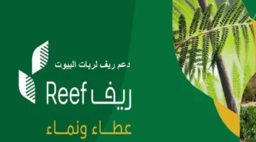 هل منتجات العسل والنحل مدعومة في برنامج ريف 1445؟ وزارة البيئة والزراعة تُجيب