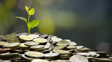 هل يجوز إخراج زكاة الفطر أموال؟ دار الإفتاء المصرية تُجيب