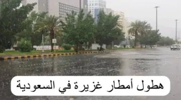 "حالة الطقس اليوم في السعودية" أمطار رعدية مصحوبة برياح شديدة على بعض المناطق