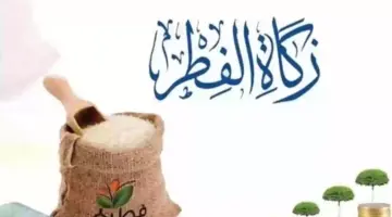 "اللجنة الدائمة للإفتاء" تحدد مقدار زكاة الفطر عن الفرد 1445