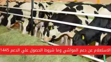 وزارة البيئة والمياه والزراعة تُتيح رابط الاستعلام عن دعم المواشي برقم الهوية 1445