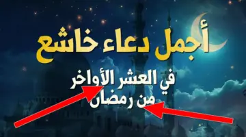 ردده الآن.. دعاء العشر الأواخر من رمضان أدعو به للوالدين وللميت ولفتح أبواب الرزق وقضاء الحوائج
