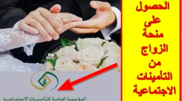 الموارد البشرية تُعلن عن آلية الحصول على منحة الزواج من التأمينات الاجتماعية والشروط المطلوبة لها