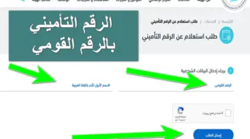 التأمينات الاجتماعية توضح طريقة الحصول على الرقم التأميني بالرقم القومي إلكترونياً عبر موقع nosi.gov.eg