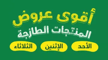 " ألحقها الآن" عروض بنده الطازج يومي الاثنين والثلاثاء بنسبة خصم 50 %