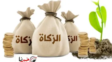 هل يجوز اخراج زكاة الفطر نقدا؟ الشيخ الخثلان يوضح