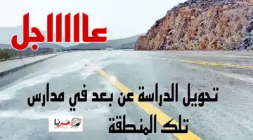 عاجل تعليق الدراسة في كافة المدارس الحكومية وتحويلها عن بعد يومي الثلاثاء والاربعاء بسبب المنخفض الجوي في بعض المحافظات