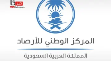 نظرًا للظروف الجوية الراهنة .. هل ستمر المملكة بكميات امطار غير مسبوقة مشابهة لما تعرضت لها بعض الدول المجاورة؟ المركز الوطني للارصاد يوضح