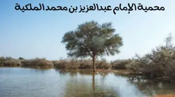 انطلاق معرض أسبوع البيئة 2024م بنسخته الخامسة تحت شعار "تعرف بيئتك"