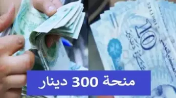 وزارة الشؤون الأجتماعية تكشف عن خطوات تسجيل منحة 300 دينار تونس 2024