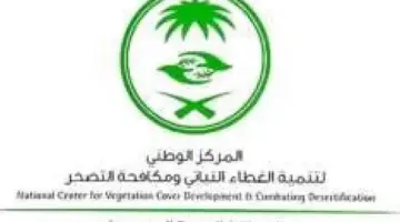 "مركز الغطاء النباتي" يعلن عن غرامة تشويه المعالم الطبيعية عن طريق الكتابة أو النحت