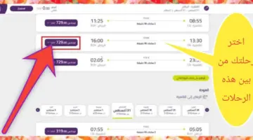 ما هي خطوات حجز طيران اديل بأقل الأسعار 2024؟