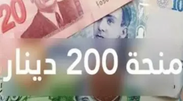بعد زيادة الدعم.. الشؤون تكشف آخر مستجدات وخطوات التقديم في منحة 300 دينار تونس بهذه الشروط 2024