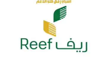 ما هي أسباب رفض طلب دعم ريف؟ "البرنامج" يوضح الأمر