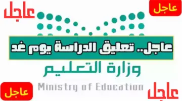 عاجل .. تعليق الدراسة الحضورية رسميا غدا الثلاثاء في عدة مناطق في السعودية لهذا السبب