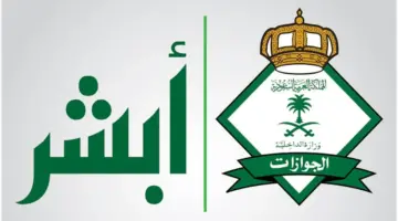أبشر توضح خطوات تنفيذ خدمة تقرير زائر وطريقة طباعته داخل المملكة 1445