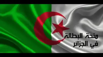 "رسمياً الآن" طريقة التسجيل في منحة البطالة بالجزائر 2024 وأهم شروطها