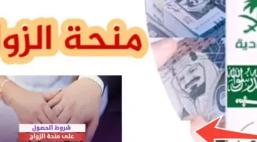 ما هو رابط التسجيل في منحة الزواج من التأمينات الاجتماعية السعودية؟