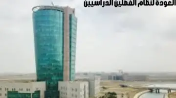 عاجل.. "جامعة جازان" تعلن إلغاء الفصول الدراسية الثلاثة والعودة لنظام الفصلين الدراسيين